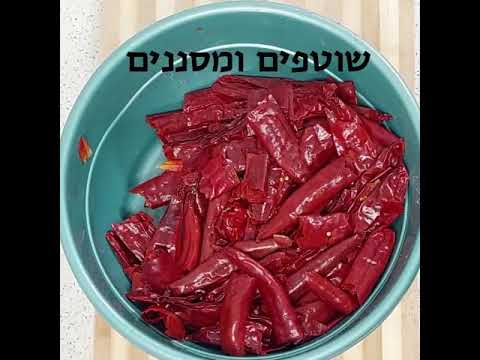 אריסה טוניסאית מסורתית