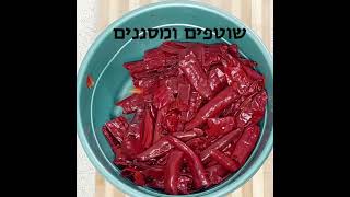 אריסה טוניסאית מסורתית