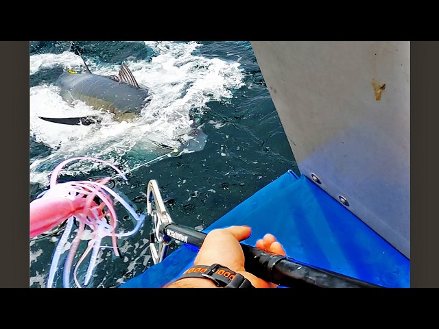 Second Tuna Trip of the Year