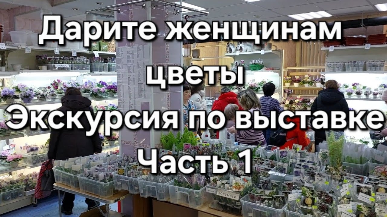 Экскурсия по выставке фиалок. Часть 1.