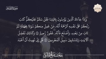 سورة الانعام 54-64 || القارئ حاتم المالكي