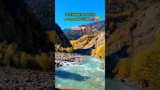 Georgia🇬🇪Осенние краски в горах Грузии🧡👍#georgia#autumn#travel#nature#beautiful#საქართველო#грузия