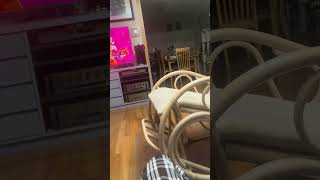All 538 viewers must SUB click the subscribe button on my channel with crazy new subs NOW!!