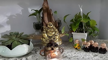 Mi TIÊN VẤN ĐÁP (Lần 27)Tại sao Đức phật lại nói hai lời?❄