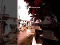 Nadri Nadri