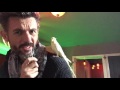 Cockatiel Jazz Scat Lesson