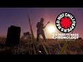 Red Hot Chili Peppers - A 6 Minute Bass Chronology (by brazillian Alex Mac'Arthur)