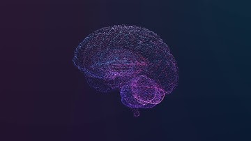 EQIPD video #8 - EQIPD focus on neuroscience