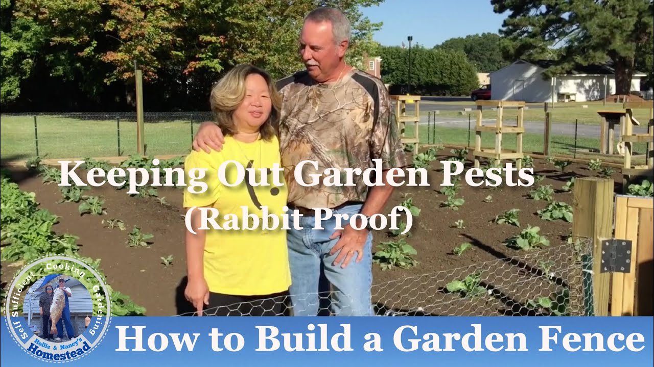 How to Install Garden Fence Rabbit Proof