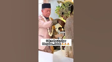 viral seorang kakek nikahi gadis 25 tahun #viral