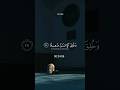 والله يريد أن يتوب عليكم القارئ خليل الحصري والله يريد أن يتوب عليكم القارئ خليل الحصري