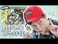 [어서와ZIP] 마성의 짜장면을 차지하기 위한 자리싸움♨ l #어서와한국은처음이지  l EP.105