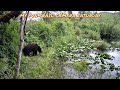 "My fun trail camera Saturday"