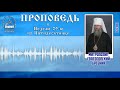 Проповедь митр. Святогорского Арсения в Неделю 29-ю по Пятидесятнице 16.12.18 г.