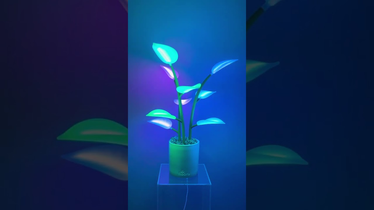 Fluora Mini now shipping 