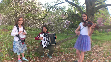 The Sonical Bees - Aseara ti-am luat basma - Romanian folk song