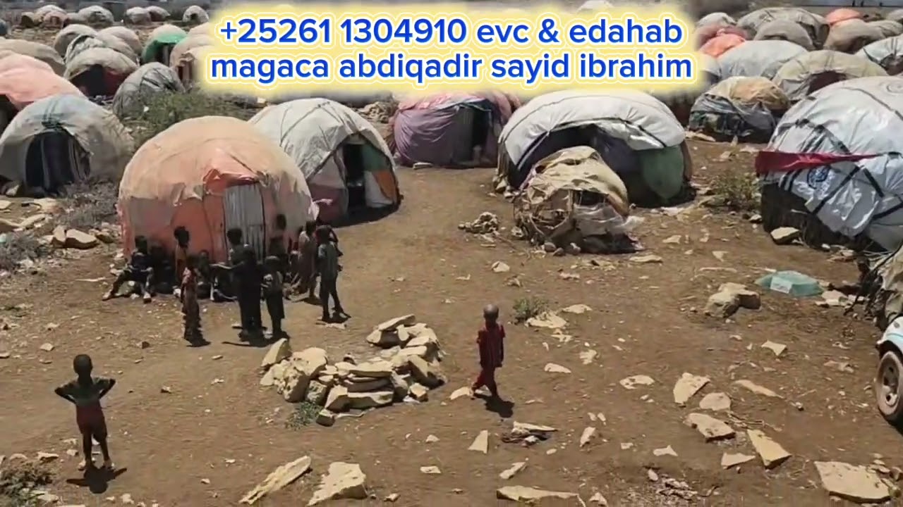 BIYO DHAAMINTI MAANTA O ARIN YAABLEH KA DHACDAY BOOYADI WA 50$ E HAMOOGAAN