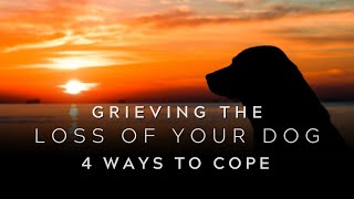 Coping with the Loss of a Dog: 4 Strategies to Help You Heal by Dachshund Station 322 views 1 year ago 5 minutes, 1 second