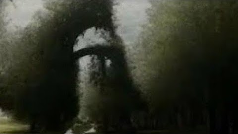 XXL XXL XXL XXL FREESTYLE 2024 💕 |XXL 2025 | Xxwd5000xa | XXL XXL XXL XXL FREESTYLES