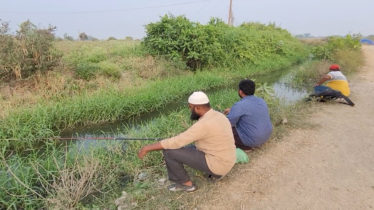 Fishing in Small Stream|Group of Fisherman Catching Big Catfishes & Tilapia To Catch by Small hook