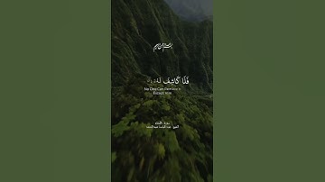 {وإن يمسسك الله بضر فلا كاشف له إلا هو}{سورة الانعام}{تلاوة خاشعة بصوت عبدالباسط عبدالصمد}