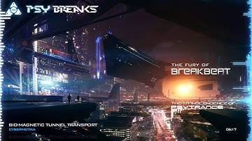 Cybernetika - Bio Magnetic Tunnel Transport