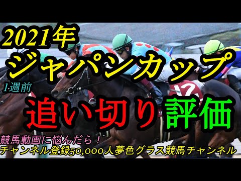 【1週前追い切り評価】2021ジャパンカップ!コントレイル1週前自己ベストはどう考える?
