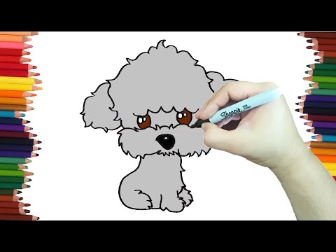 Video: Cómo Dibujar Un Caniche