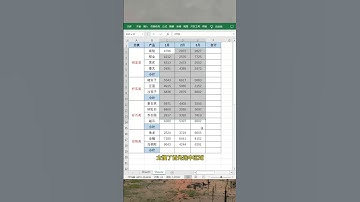 隔行求和，3秒搞定#办公技巧 #EXCEL #每天学习一点点 #职场 #文员 #办公技巧 #excel #职场