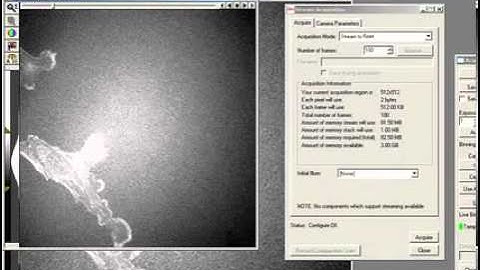 Using the Photometrics Evolve EMCCD Camera in Leica MMAF Software