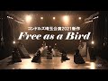 コンドルズ埼玉公演2021新作『Free as a Bird』トレイラー