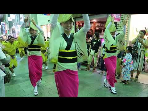 高円寺阿波おどり・ふれおどり２０１８⑰吹鼓連