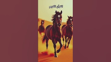 Surah Al-Adiyat Urdu Translation | سورة العاديات | Quran Meaning in Urdu | Spiritual Reflection