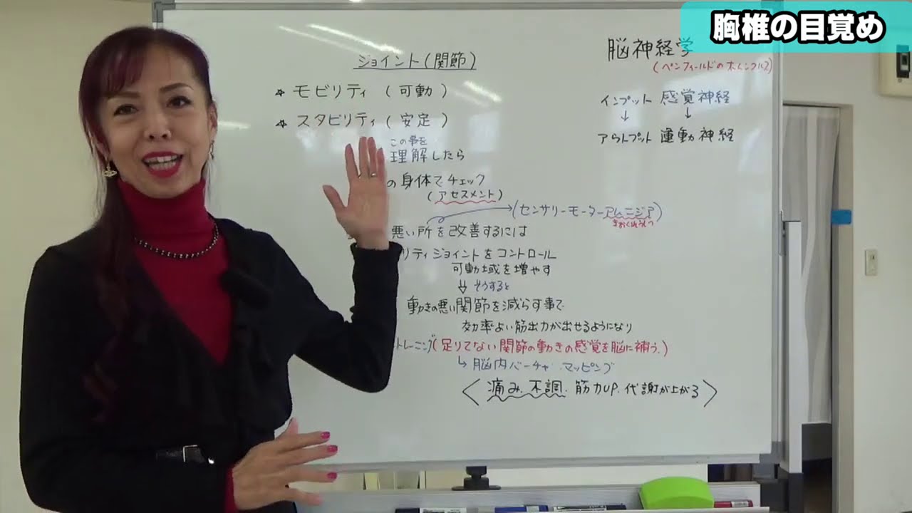 【胸椎】ルンバでの活用と動かす方法