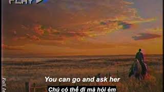 Lil Nas X - Old Town Road (feat. Billy Ray Cyrus) (Lyrics \& Vietsub)