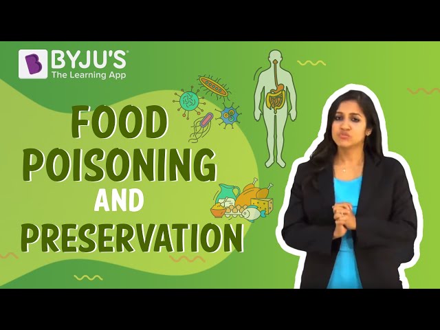 What is Food Preservation? - Definition, Importance, Objective