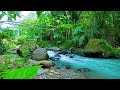 Deep Forest Water Stream - No Birds - Flowing Water Sounds - 10 Hours Sleep White Noise