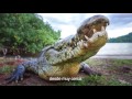 Coiba National Park Video