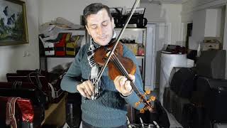 Top 4/4 Violin Guseto for sale in eBay ~ Made in Germany