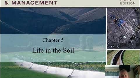 Soil Science and Management Lecture Chapter 5