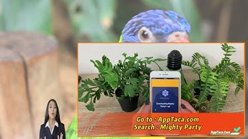 Mighty Party Mod 2023 - How I Got 50k Gems & Coins in Mighty Party Ios Android 2023.