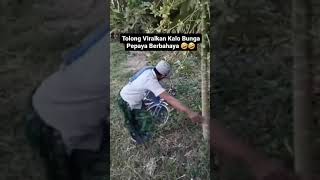 Kangen Band - Yang Aku Tahu ( lagu paling sedih sampai saat ini )