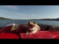 Nina Tries Out Her New Doggles In The Boat!