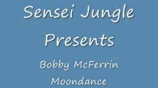 bobby McFerrin Moondance.wmv