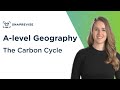 The Carbon Cycle: Understanding Earth's Essential Element
