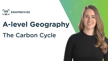 The Carbon Cycle | A-level Geography | OCR, AQA, Edexcel
