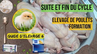 Comment Produire et Vendre les Poulets avec peu de moyens