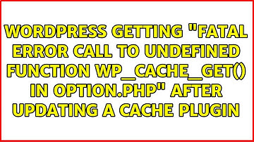 Getting "Fatal error: Call to undefined function wp_cache_get() in option.php" after updating a...