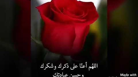 الشيخ جابر شرقاوي جامع سيدي عمر صلاة الفجر ولكل وجهه هو موليها سورة البقرة