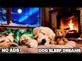 8 Hours of Dog Relaxing Music 🐕 Anxiety Relief for Dogs 🎧Peaceful Deep Sleep 🌙 Dog TV No Ads